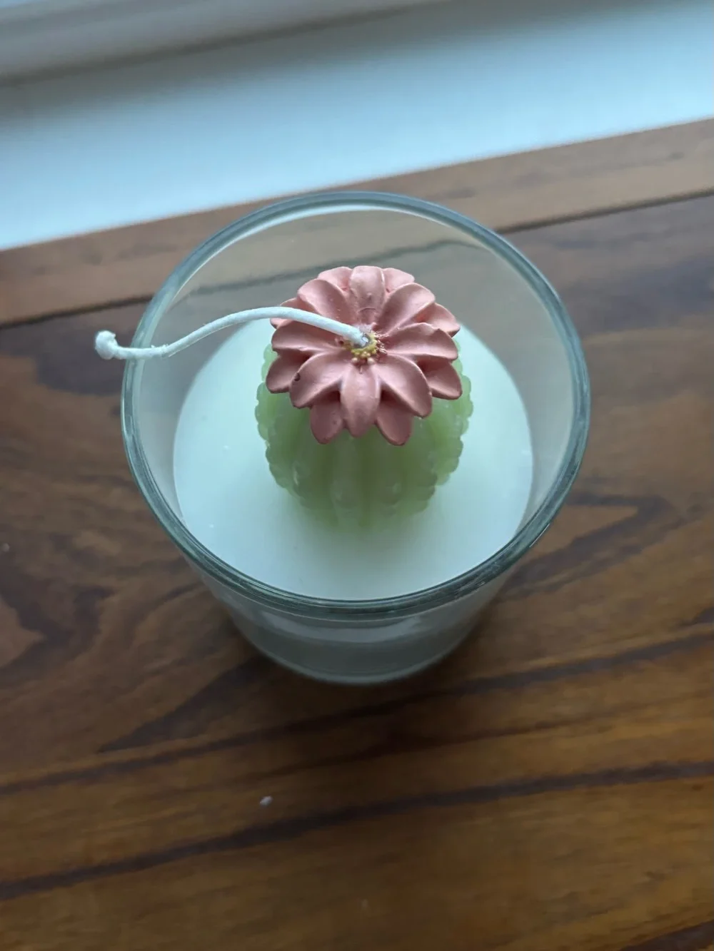 Wild Prickly Pear Jar Candle - White Wax with Pale Green Cactus